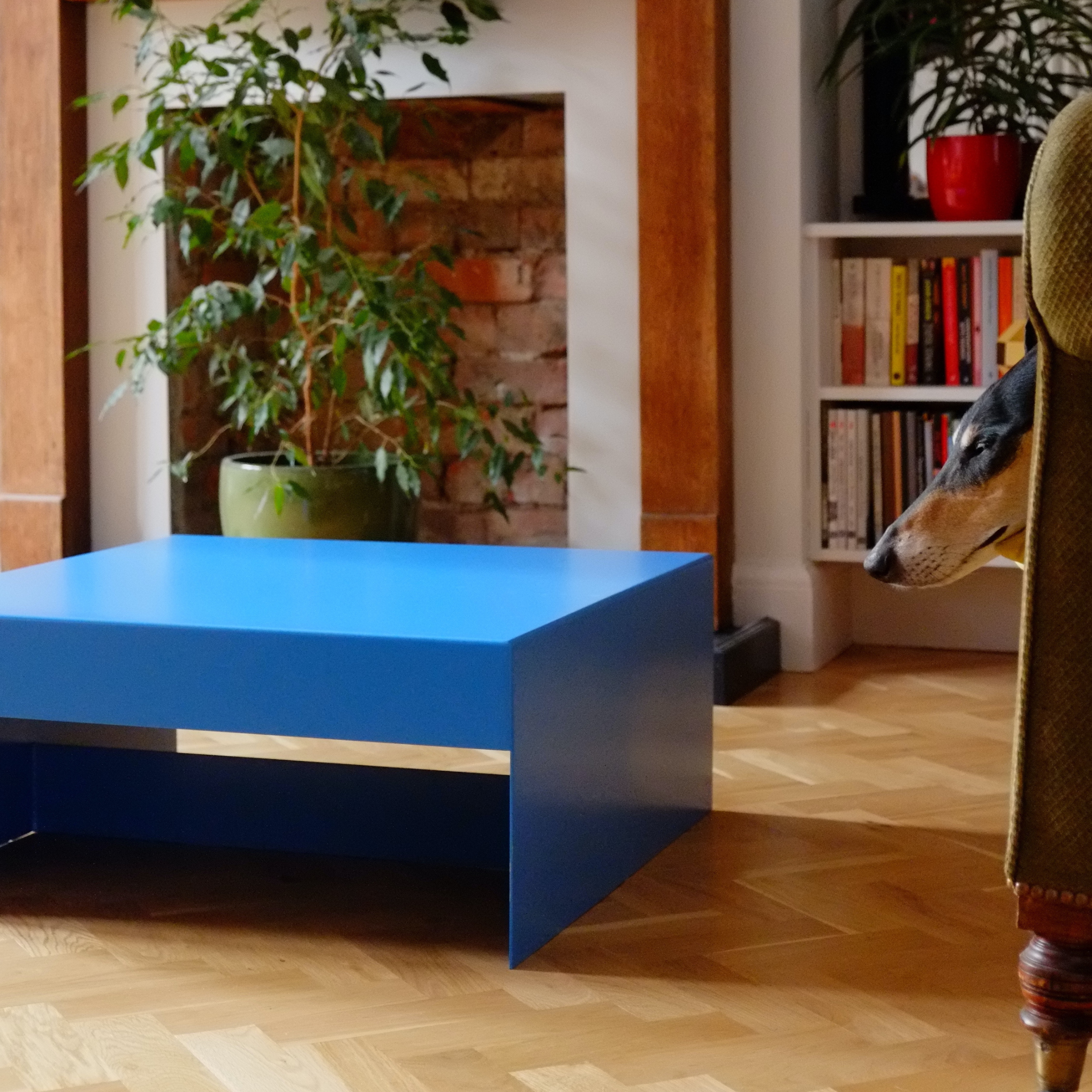 Single Form Coffee Table